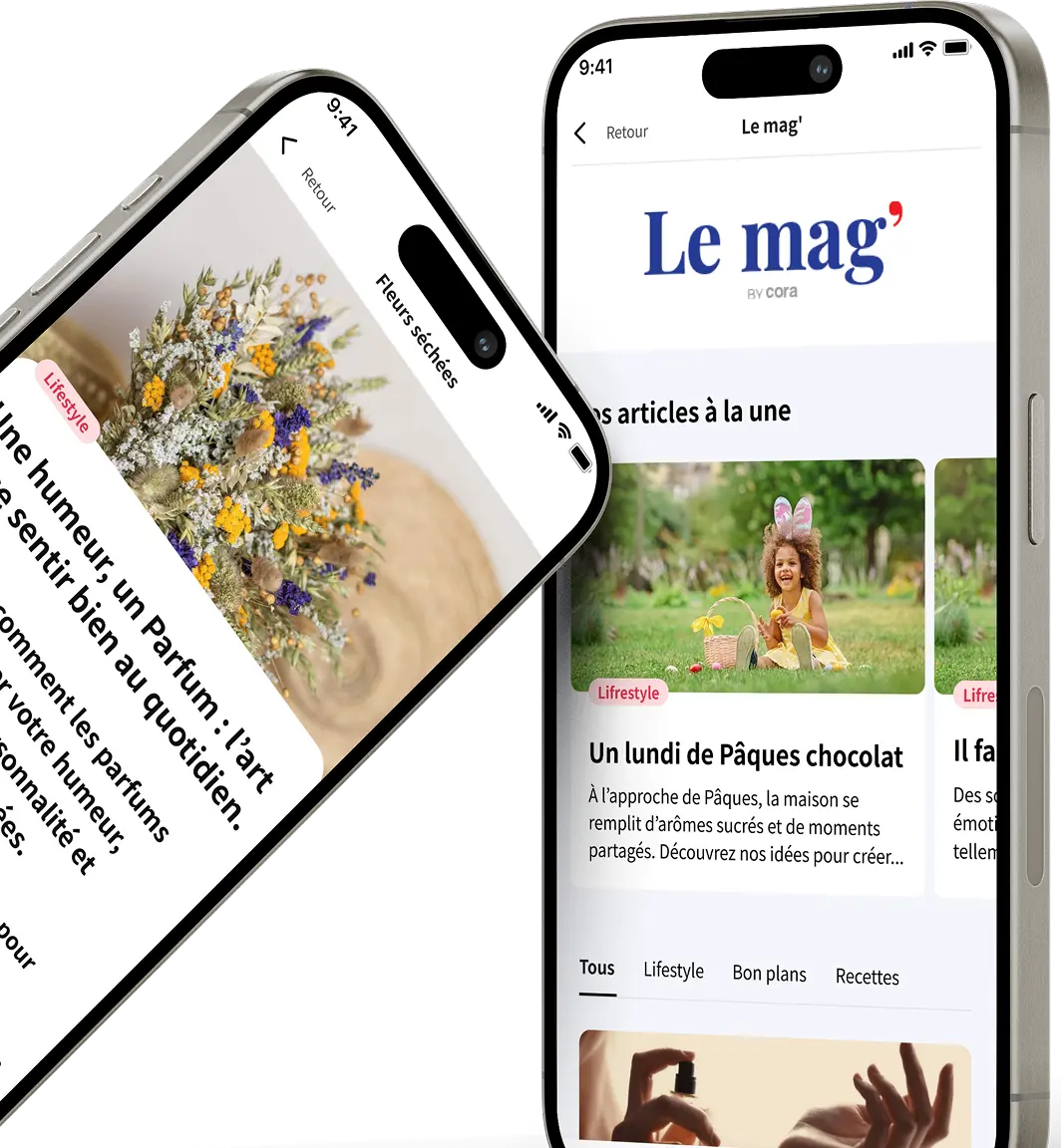 Section du site en ce moment chez cora